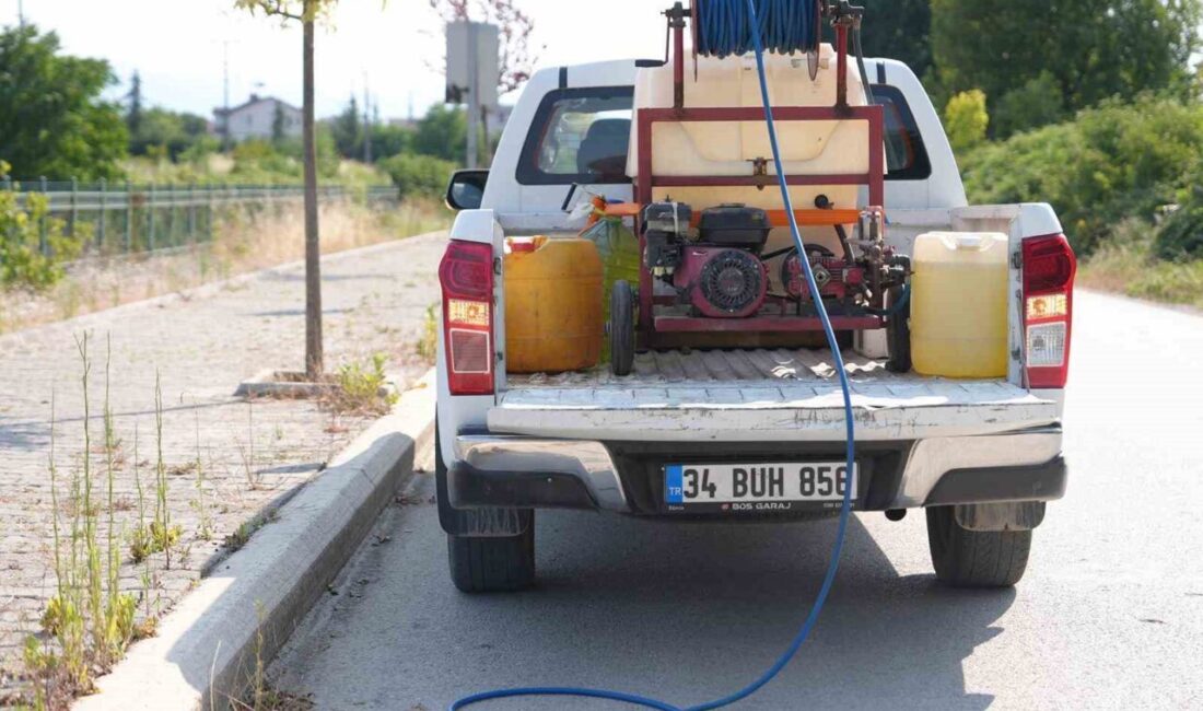 Düzce Belediyesi yaz aylarında artan sivrisinek ve karasinek haşerelerine karşı