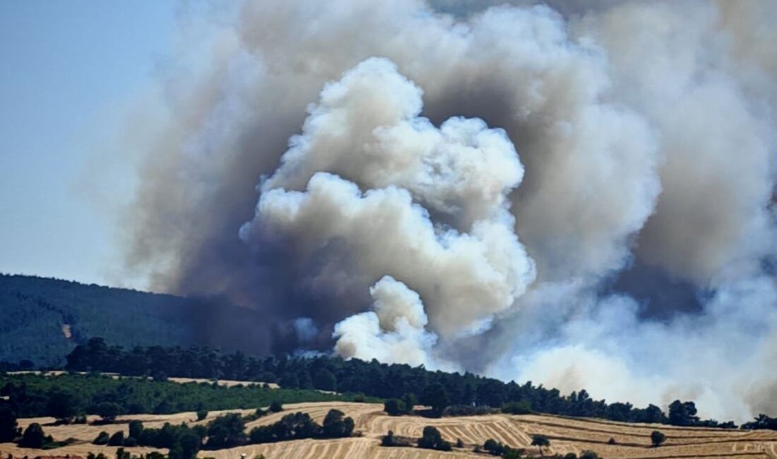 Edirne Keşan ilçesi Susamdere mevkisinde çıkan orman ve anız yangınına,