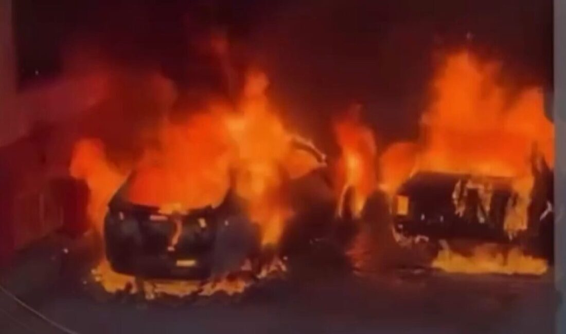 Edirne’de park halindeki iki otomobil 1 kişi tarafından kundaklandı. Alev