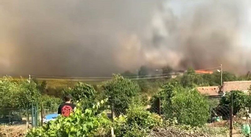 Edirne’de 30 dönümlük buğday tarlası alev alev yandı Edirne’nin Meriç ilçesinde çıkan yangında yaklaşık 30 dönüm biçilmemiş buğday