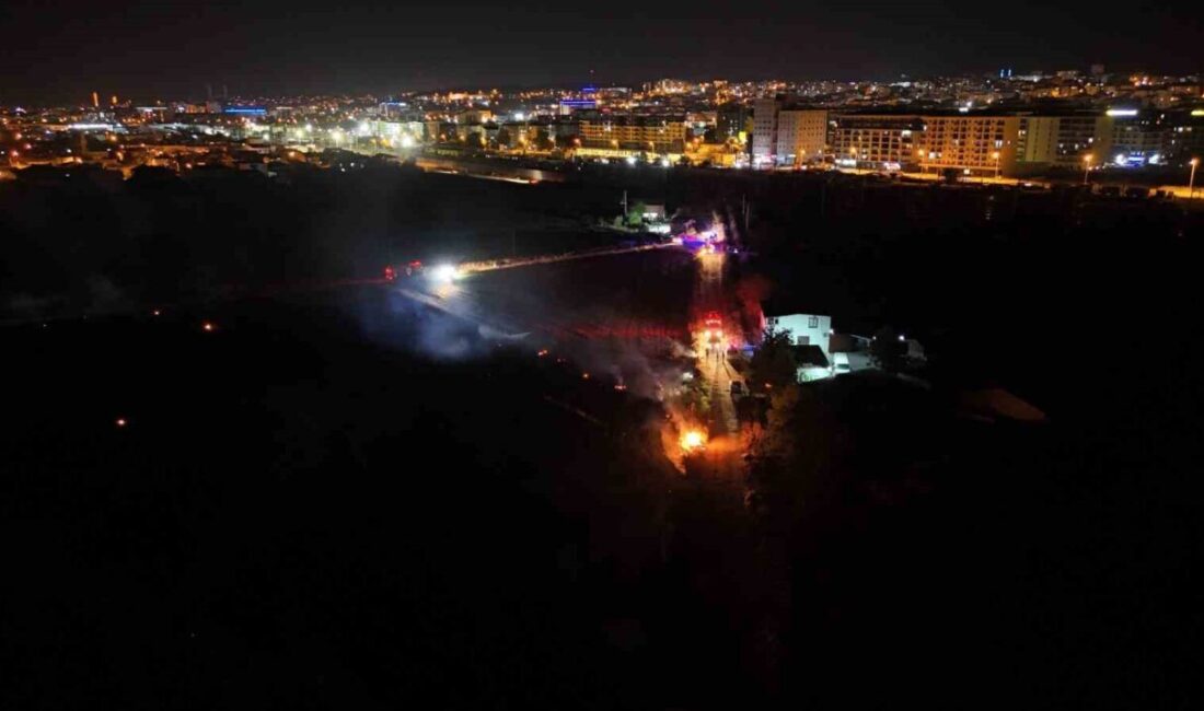 Edirne’de çıkan anız yangını kısa sürede büyüyerek evlere kadar yaklaşmasının