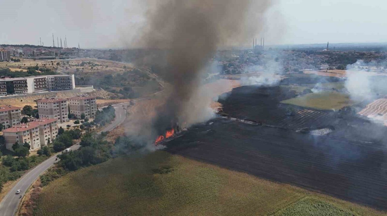 Edirne’de otluk alanda çıkan yangın, yerleşim alanlarına metreler kala söndürüldü.