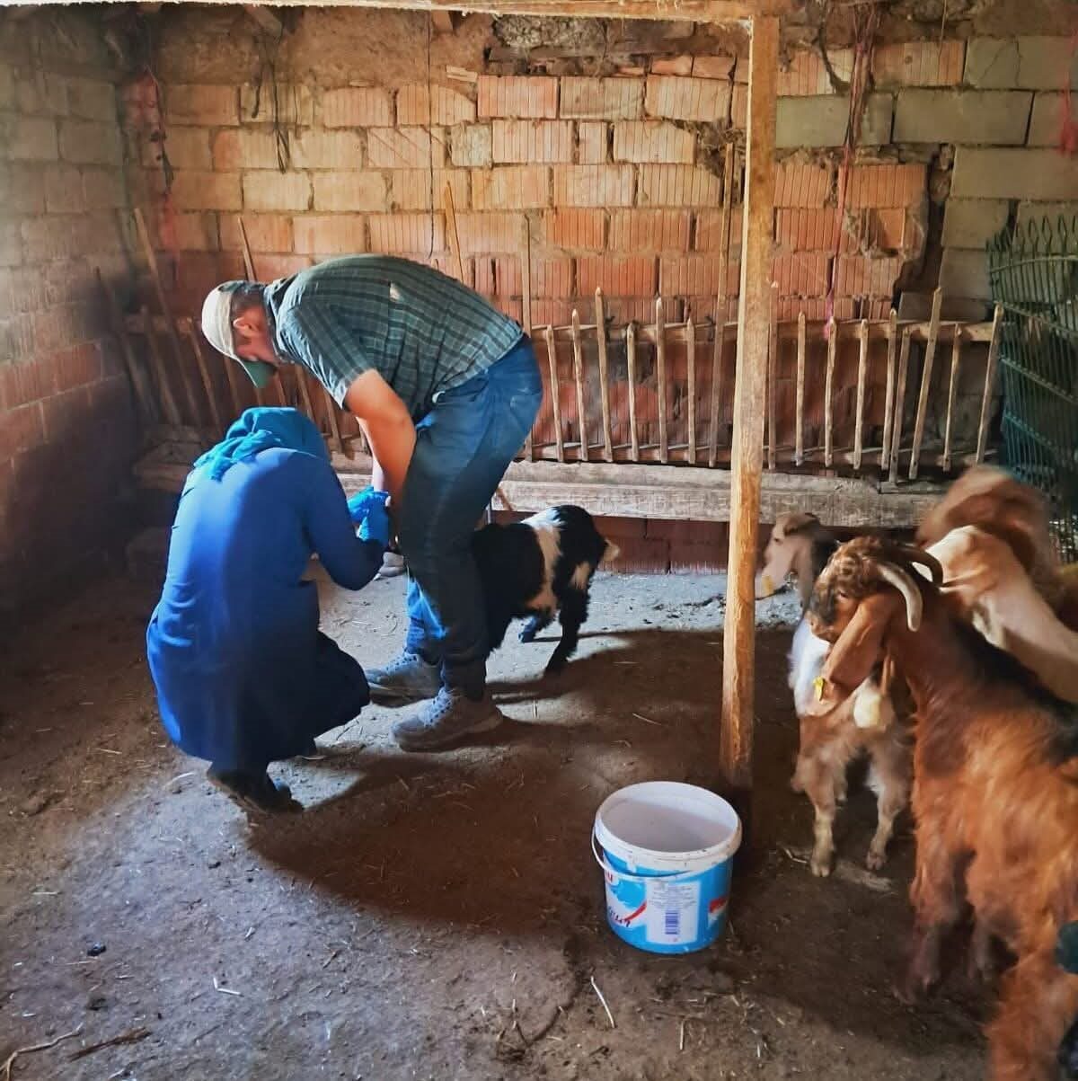 Edirne’nin İpsala ilçesinde Tarım ve Orman İlçe Müdürlüğü ekipleri, köylerdeki