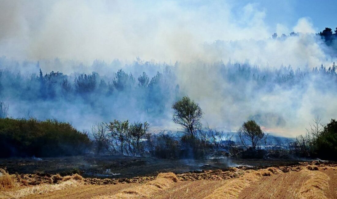 Edirne’nin Keşan ilçesinde çıkan orman ve anız yangını, ekiplerin yoğun