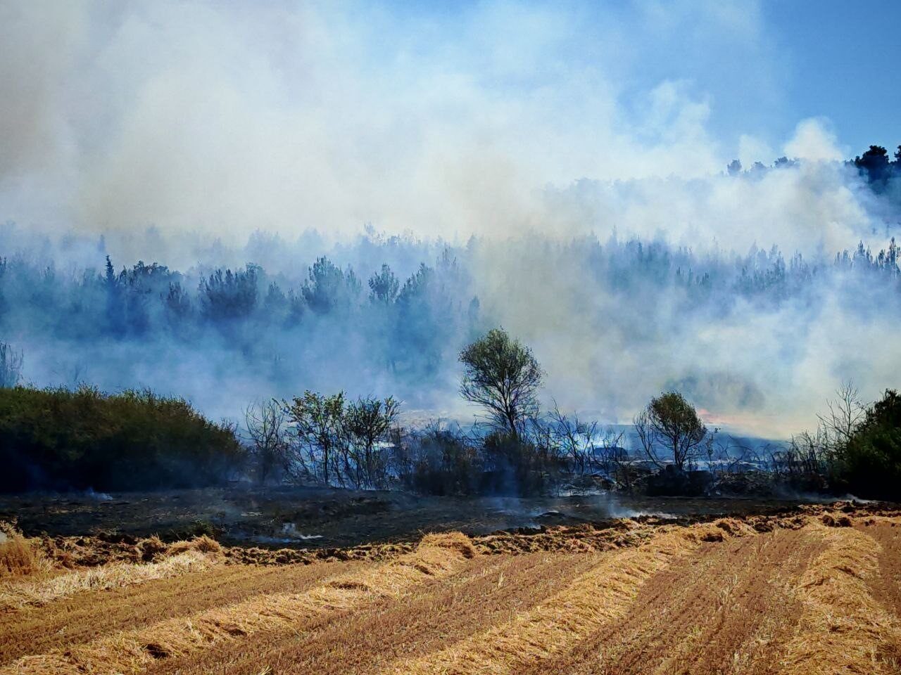 Edirne’nin Keşan ilçesinde çıkan orman ve anız yangını, ekiplerin yoğun