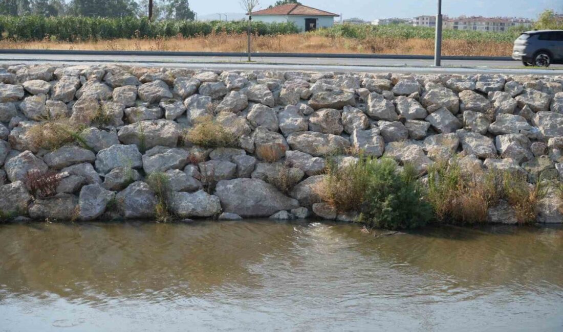 Balıkesir’in Edremit ilçesinde bulunan Edremit Çayı’nda kirlilik artarken, çaydan yayılan