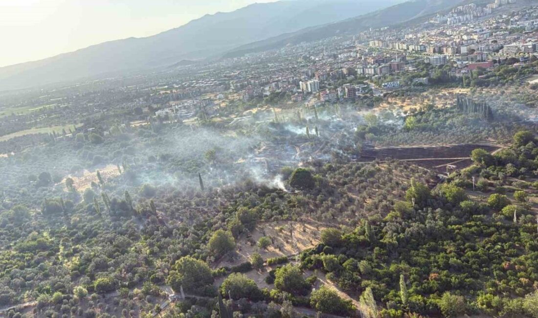 Balıkesir’in Edremit ilçesinde tarım ve zeytinlik arazilerde çıkan yangın rüzgarın
