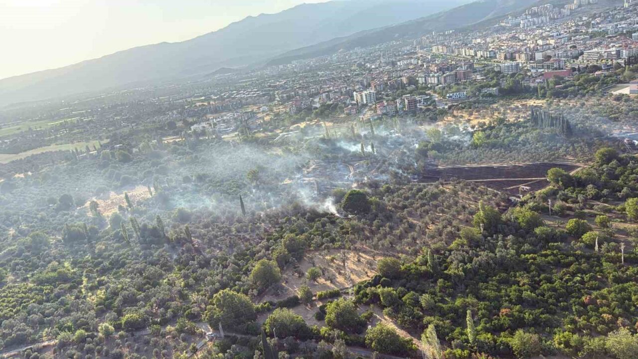 Balıkesir’in Edremit ilçesinde tarım ve zeytinlik arazilerde çıkan yangın rüzgarın
