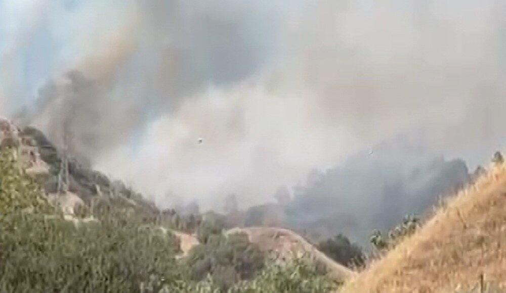 Aydın’ın Efeler ilçesinde zirai alanda meydana gelen yangını kontrol altına