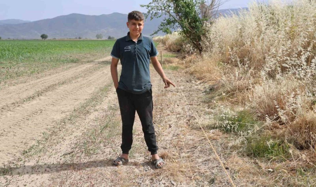 Türkiye’nin en önemli tarımsal üretim merkezlerinin başında yer alan Aydın’da