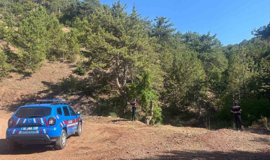 Isparta’nın Eğirdir ilçesinde jandarma ekipleri, yangın riskine karşı ormanlık alanlarda