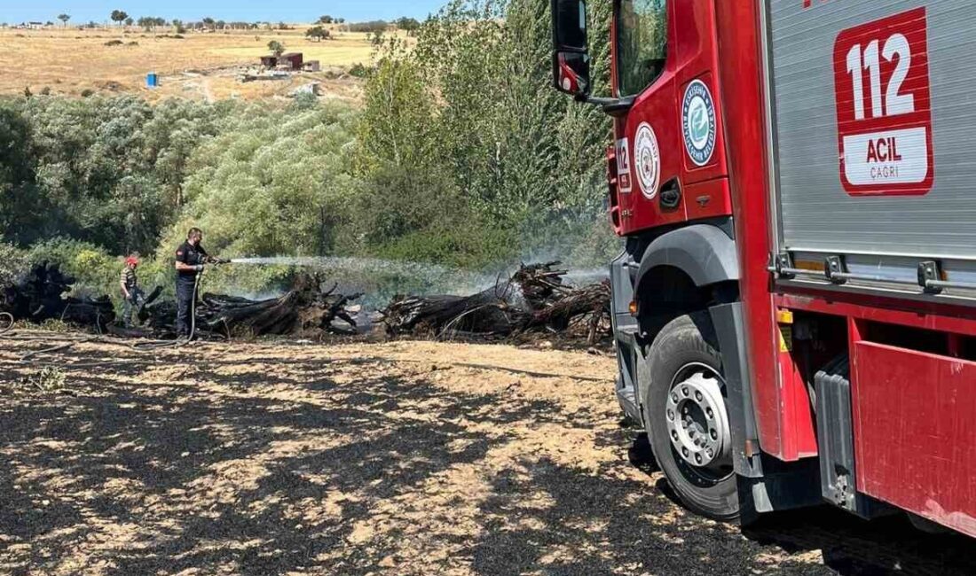 Eskişehir’de çıkan ekin yangını itfaiye ekiplerinin müdahalesiyle söndürüldü. Olay, saat