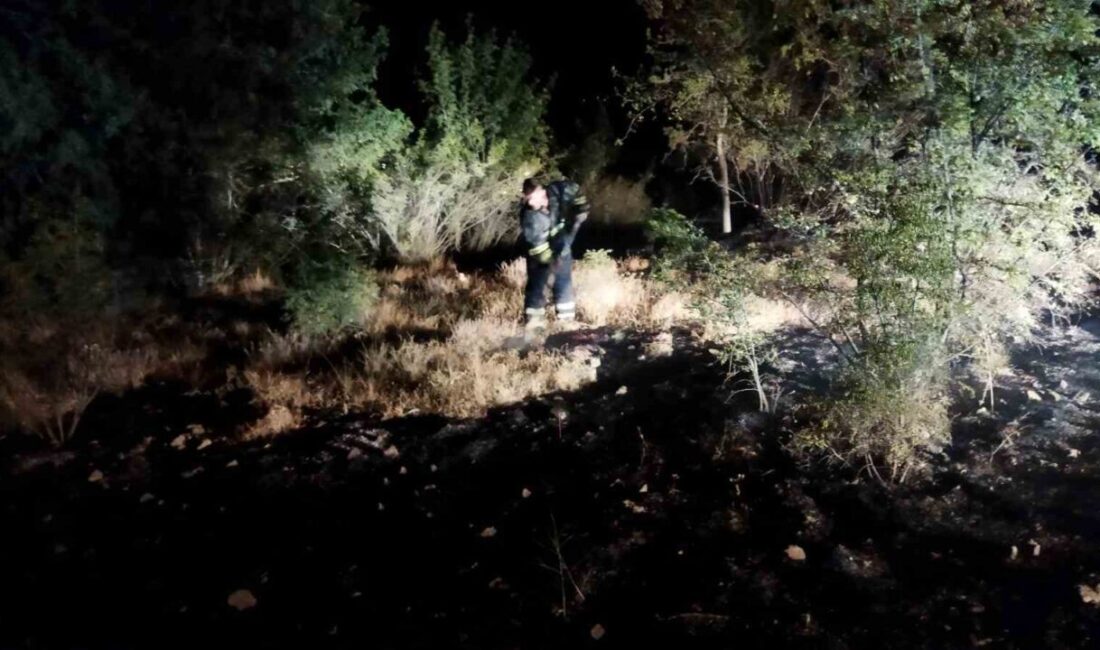 Çorum’un Osmancık ilçesinde çıkan örtü yangını, ekiplerin ve köy halkının