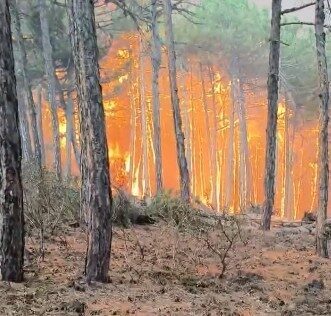 Eskişehir’in Seyitgazi ilçesinde dün yangına müdahale bir ekibin alevlerin ortasında