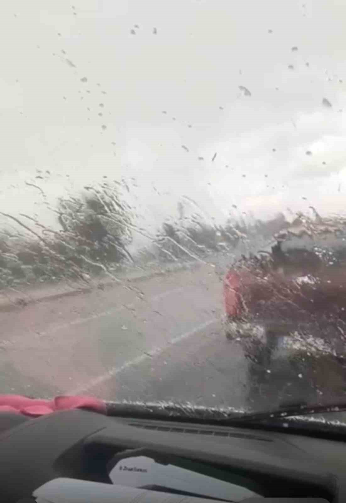 Elazığ’ın Karakoçan ilçesinde temmuz ayında dolu ve sağanak etkili oldu.