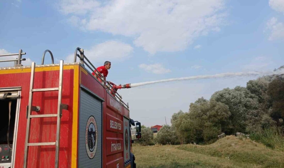 Elazığ’da ağaçlık alanda çıkan yangın ekipler tarafından söndürüldü. Olay Kovancılar
