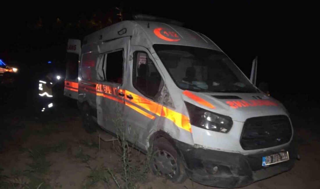 Elazığ’da sürücüsünün kontrolünden çıkan ambulans, şarampole uçtu. Kazada 2 kişi