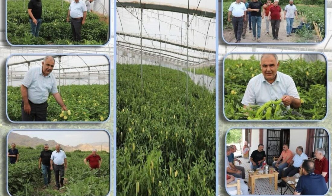 Elazığ İl Tarım ve Orman Müdürlüğü tarafından bahçe ve sera