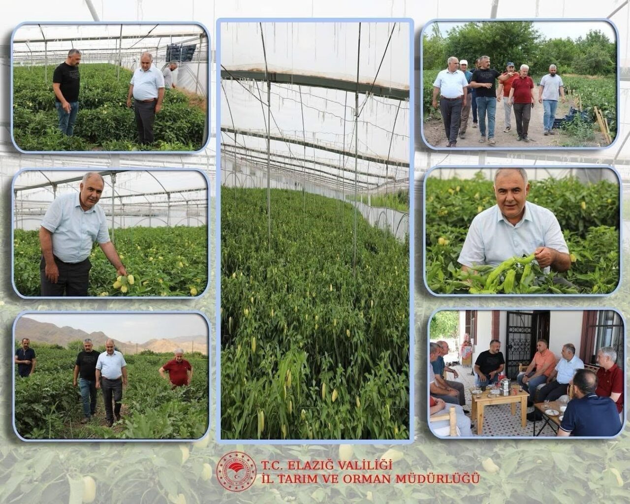 Elazığ İl Tarım ve Orman Müdürlüğü tarafından bahçe ve sera