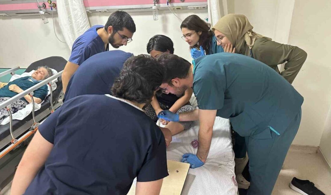 Elazığ’da ailesiyle birlikte köye gezmeye giden ve ayağını kene ısıran