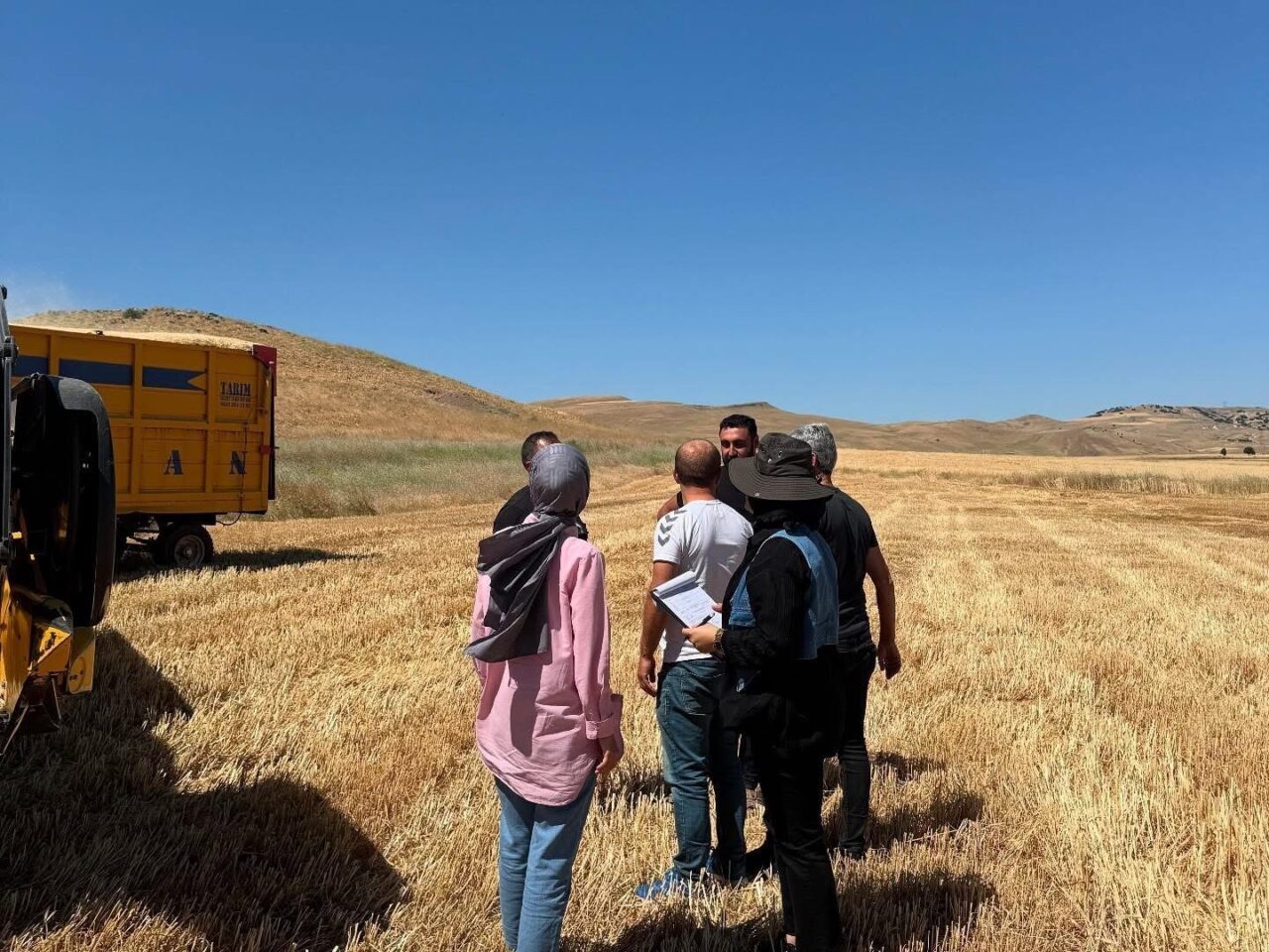 Karakoçan İlçe Tarım ve Orman Müdürlüğü ekipleri, biçerdöver ve hasat