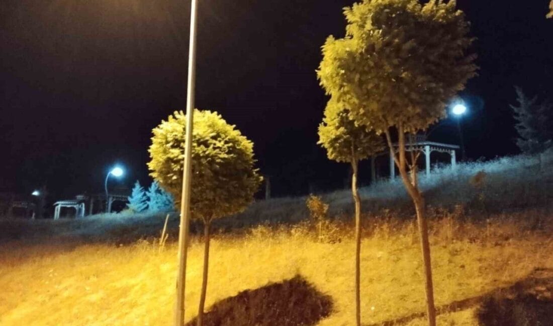 Elazığ’da gece saatlerinde kuvvetli rüzgar etkili oldu. Elazığ’da gece saatlerinde