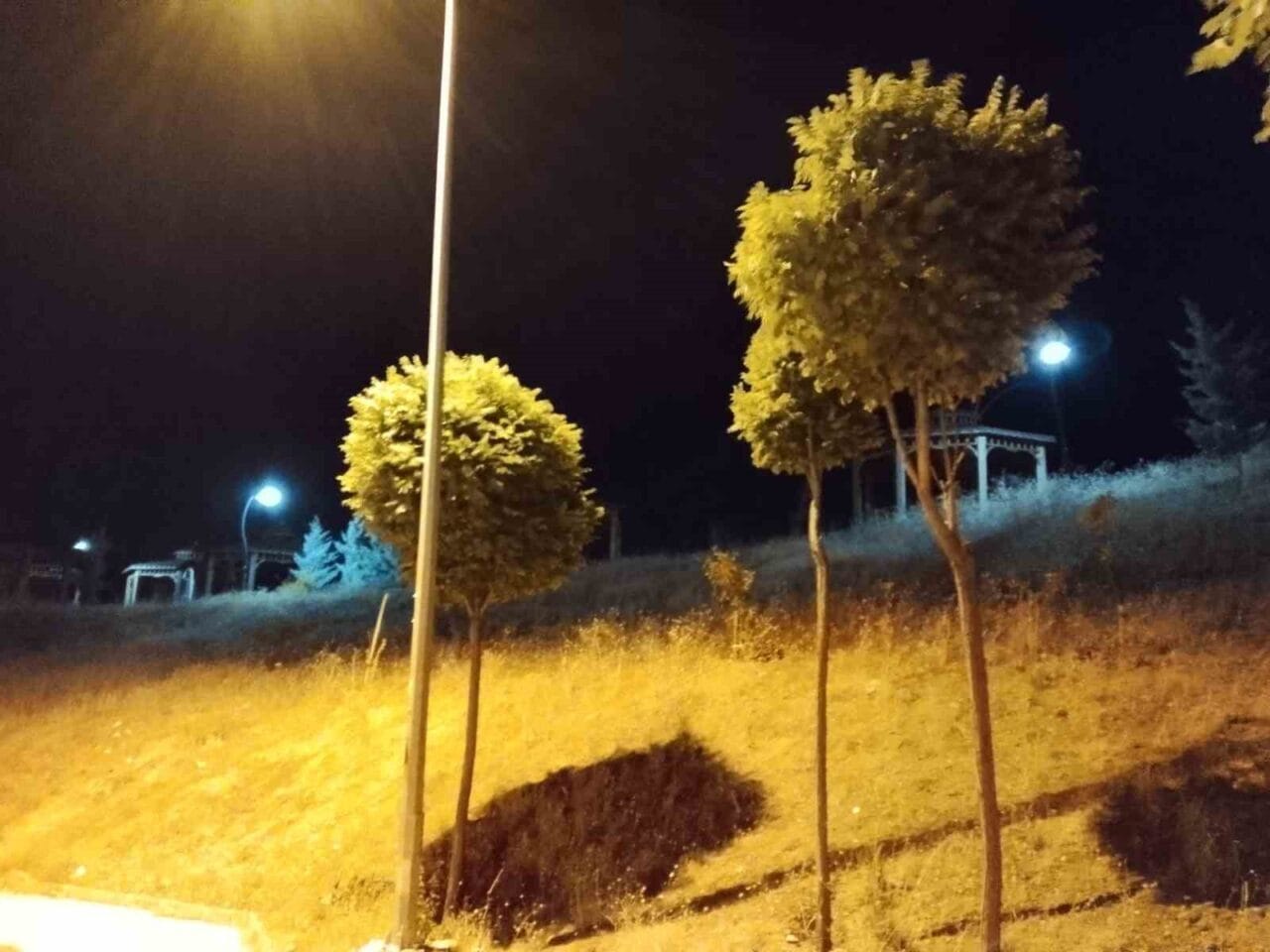 Elazığ’da gece saatlerinde kuvvetli rüzgar etkili oldu. Elazığ’da gece saatlerinde