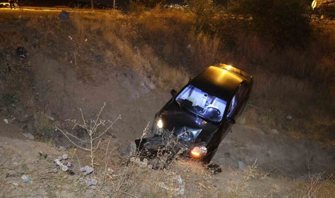 Elazığ’da otomobilin şarampole uçması sonucu meydana gelen kazada 5 kişi