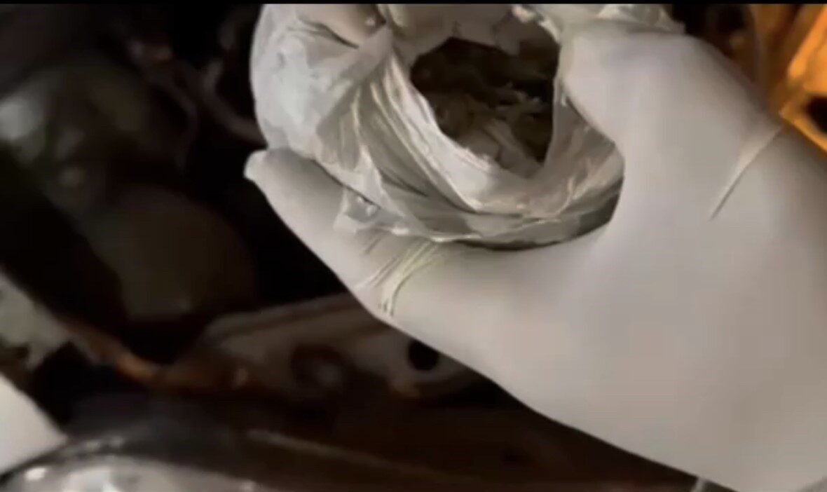 Elazığ’da jandarma tarafından yapılan çalışmada 45.9 gram kubar esrar ele