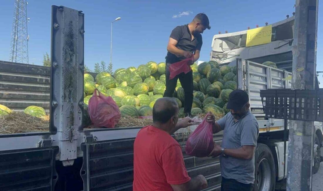 Elazığ’da bir esnaf, 30 ton karpuzu vatandaşlara ücretsiz dağıttı. Elazığ’ın