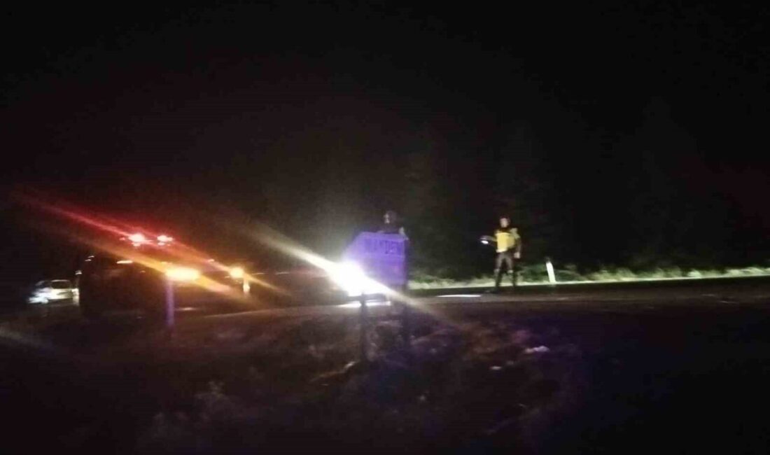 Eskişehir’de bir kuşun tarım arazisindeki elektrik tellerine çarpması ve trafonun