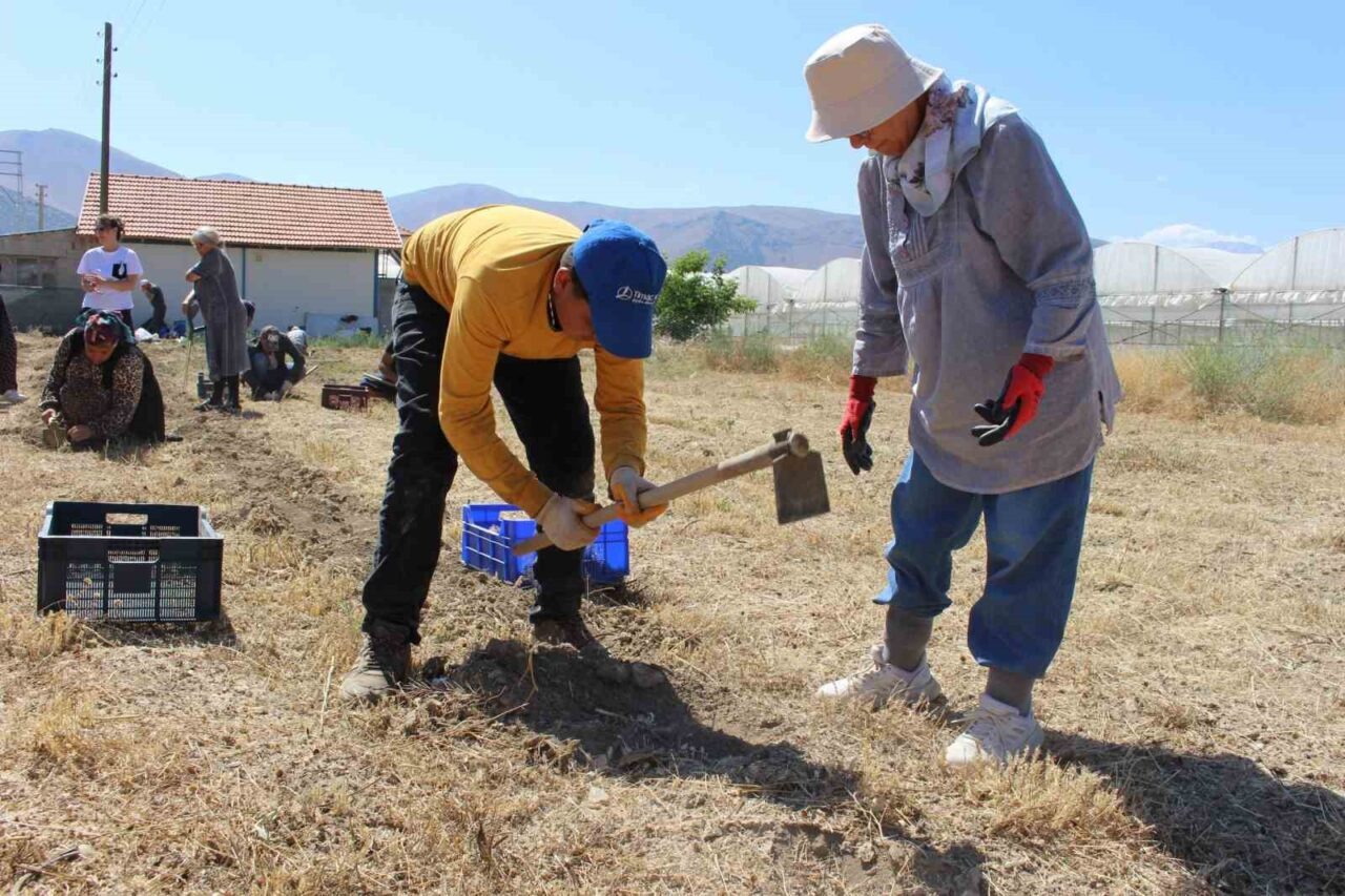 Antalya Büyükşehir Belediyesi’nin tarımsal üretimi çeşitlendirmek ve kırsalda kalkınmayı desteklemek