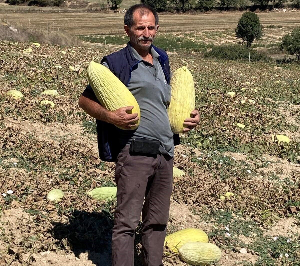 Emet İlçe Tarım ve Orman Müdürlüğü ile Kütahya İl Tarım