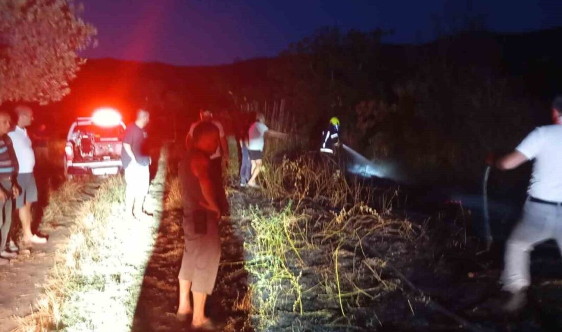 Balıkesir’in Erdek ilçesi Sahil Mahallesi Kabak Tarla mevkisinde çıkan arazi