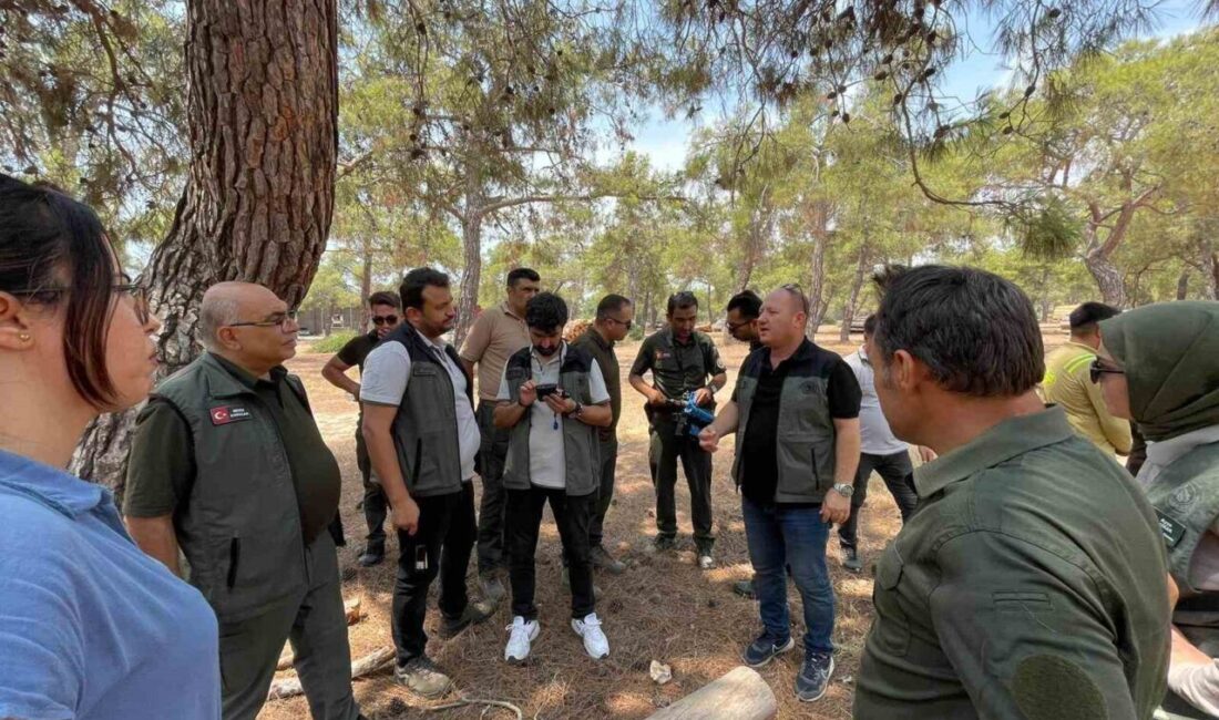 Mersin Orman Bölge Müdürlüğü’ne bağlı Erdemli Orman İşletme Müdürlüğü teknik