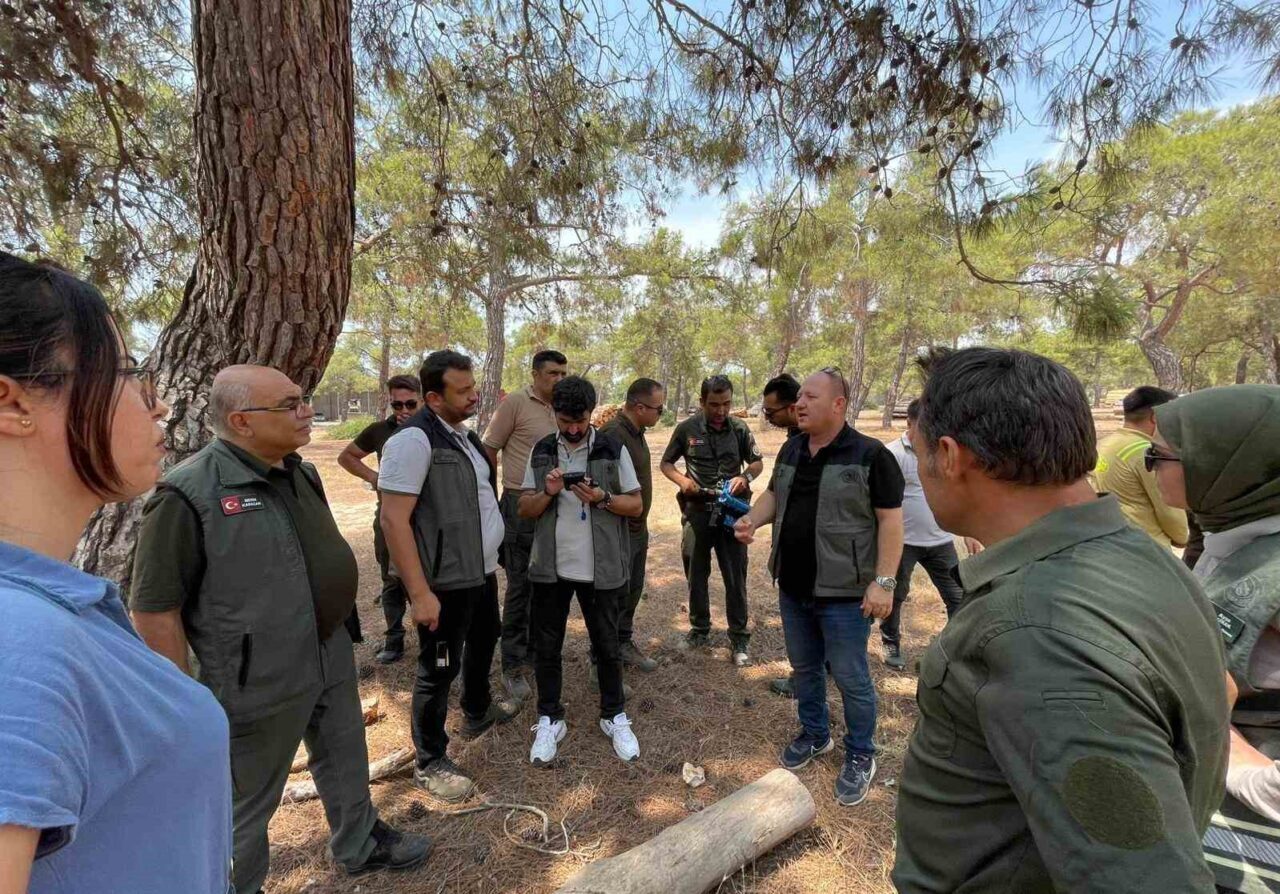 Mersin Orman Bölge Müdürlüğü’ne bağlı Erdemli Orman İşletme Müdürlüğü teknik