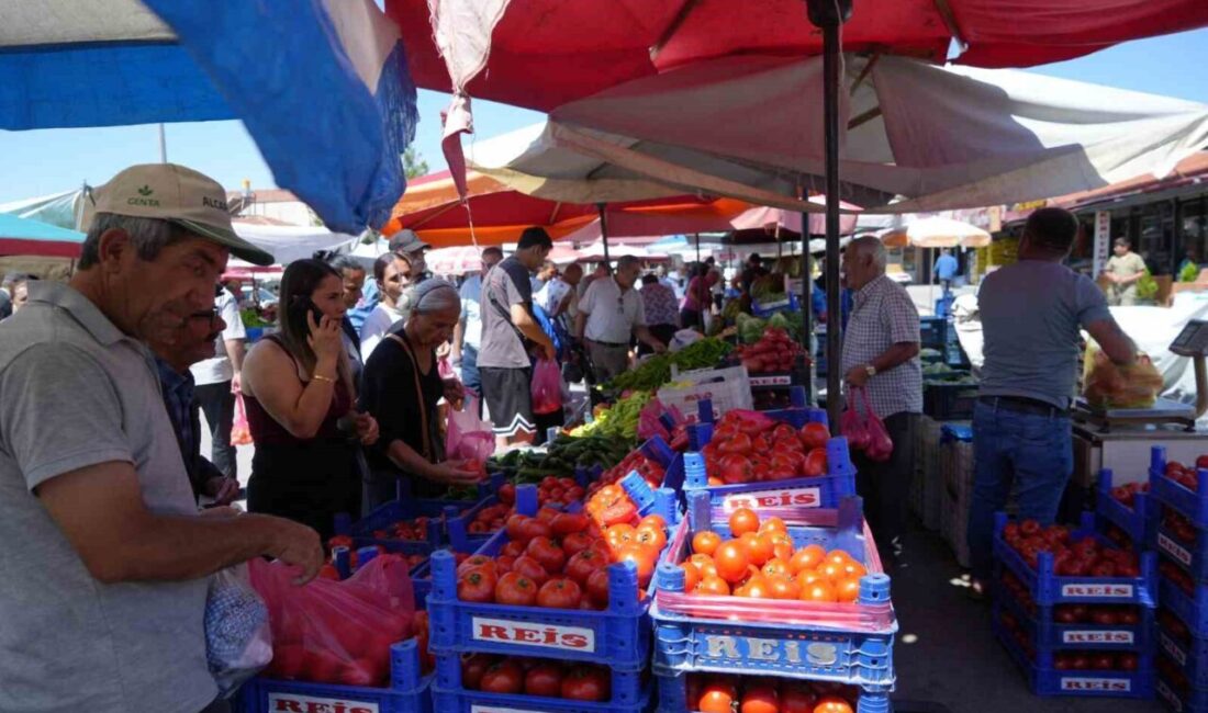 Erzincan’da üretilen domatesler bölge illerde sofraları süslüyor. Doğu Anadolu Bölgesi’nde