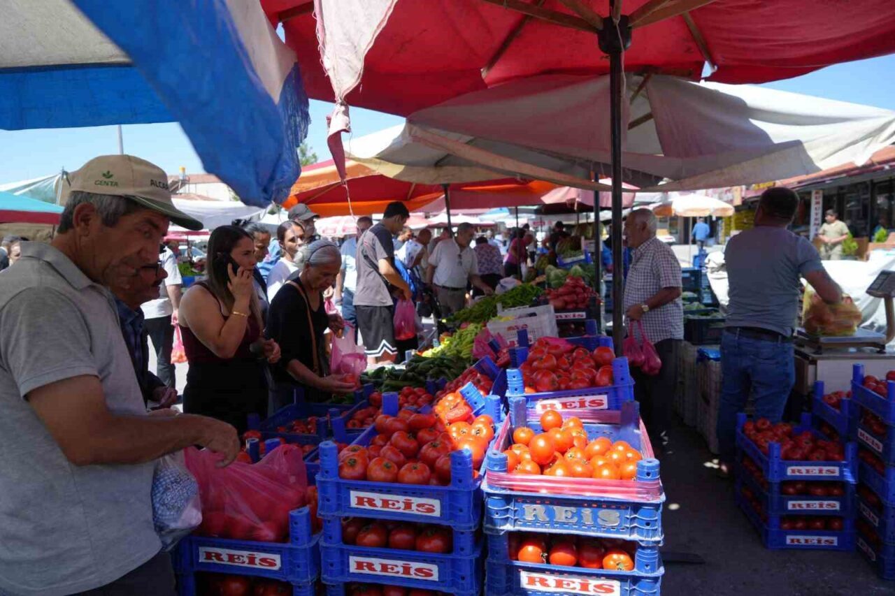 Erzincan’da üretilen domatesler bölge illerde sofraları süslüyor. Doğu Anadolu Bölgesi’nde
