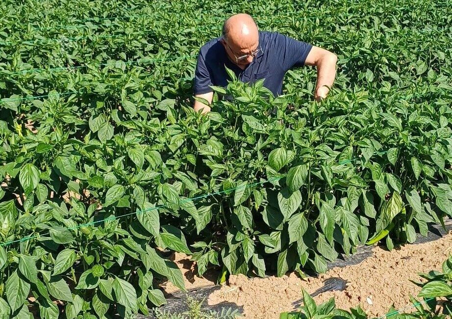 Erzincan’da Tarım Arazilerinin Kullanımının Etkinleştirilmesi (TAKE) Projesi kapsamında çiftçilere dağıtılan