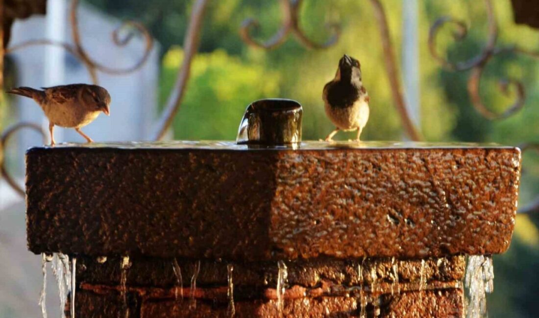 Erzurum Valiliği, 27 Temmuz 2025 tarihi itibariyle sıcaklıkların hissedilir derecede