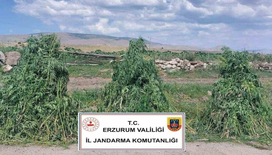 Erzurum İl Jandarma Komutanlığı Kaçakçılıkla Mücadele Şube Müdürlüğü koordinesinde Pasinler