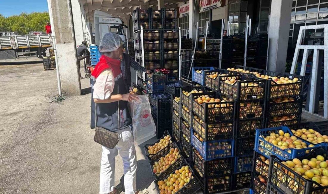 Erzurum’da son bir hafta içerisinde gıda satıcılarına yönelik 568 denetim