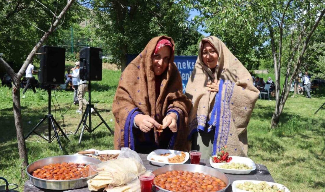 Erzurum’un Tortum ilçesinde bu yıl ilki düzenlenen Kaysefe Festivali, Türkiye’nin