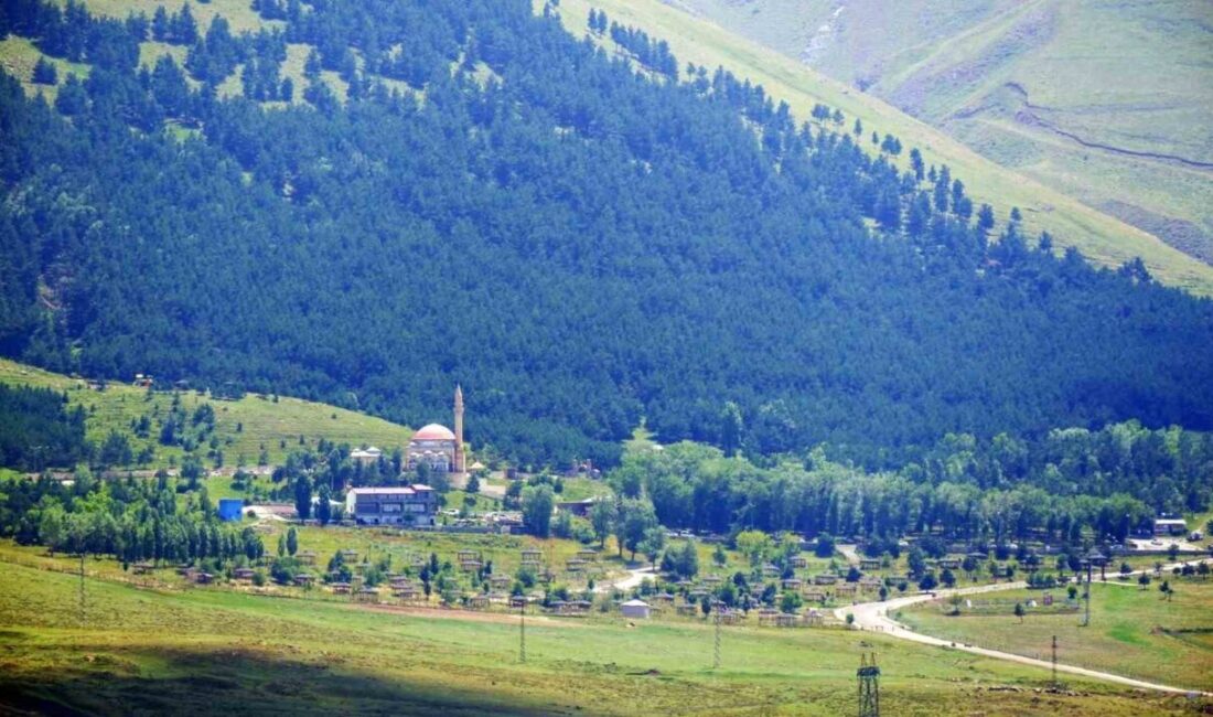 Erzurum Valiliğince, orman yangınlarına karşı il genelinde bir dizi tedbir