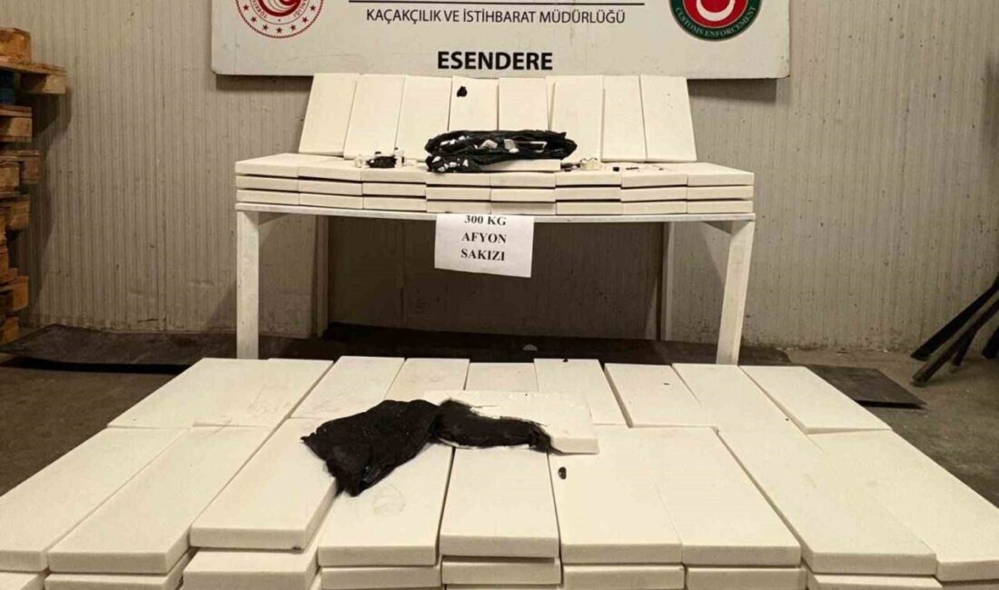 Hakkari’nin Yüksekova Esendere Gümrük Kapısında bir tırda yapılan aramada 300