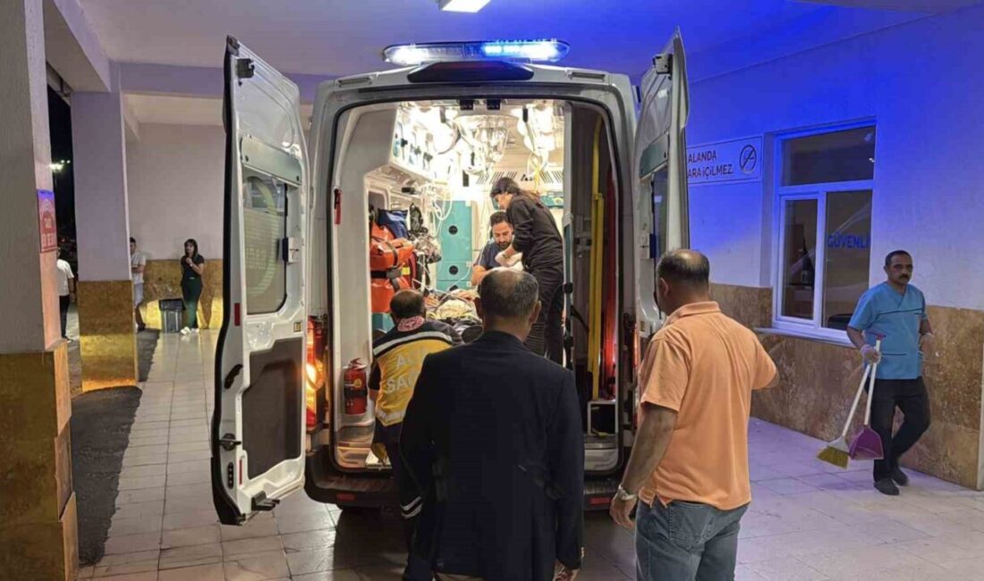 Eski Bitlis Valisi Erol Karaömeroğlu’nun içerisinde bulunduğu araç, Sivas’ın Kangal