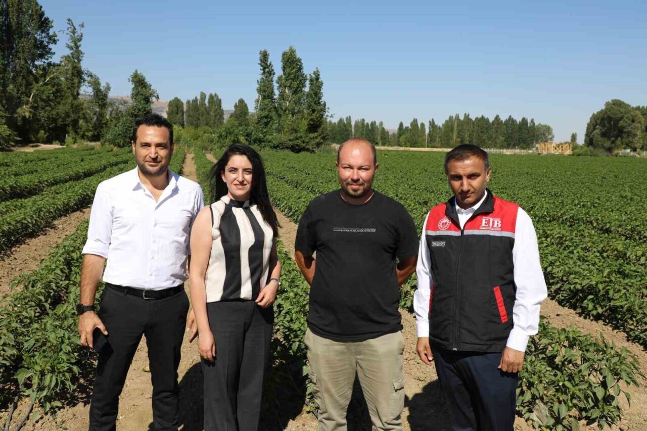 Tarım ve Orman Bakanlığı ile Türkiye Kömür İşletmeleri Kurumu (TKİ),