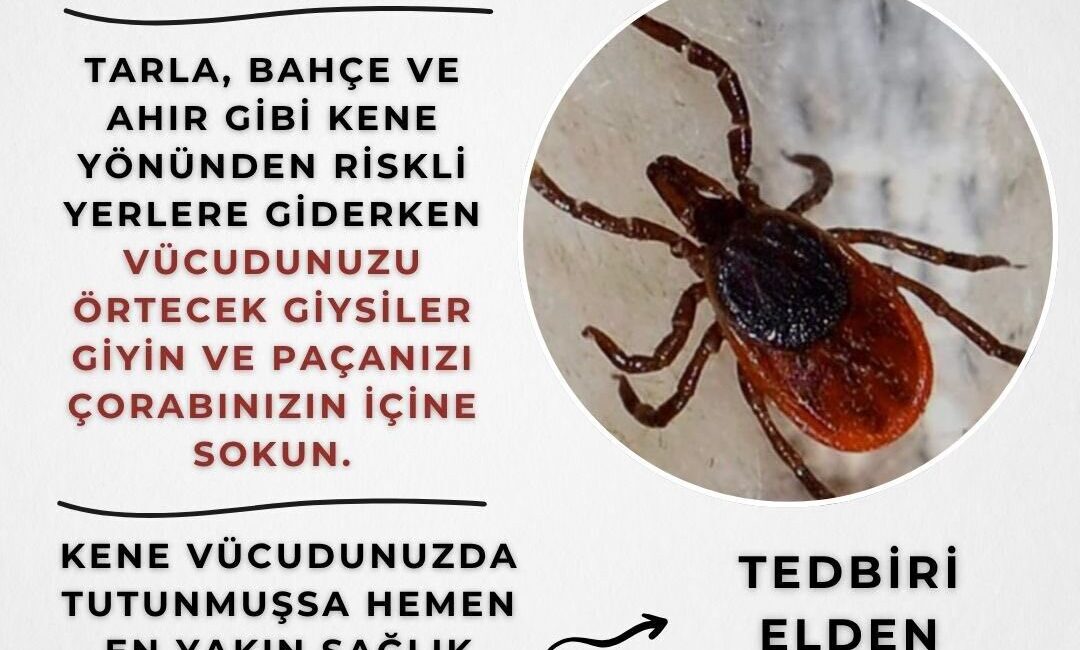 Eskişehir Valiliği, kene konusunda tedbirin elden bırakılmaması gerektiğiyle ilgili vatandaşları