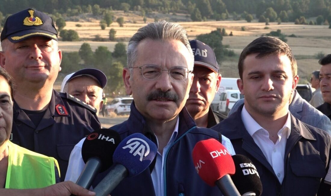 Eskişehir Valisi Hüseyin Aksoy, Seyitgazi ilçesinde çıkan orman yangını ile
