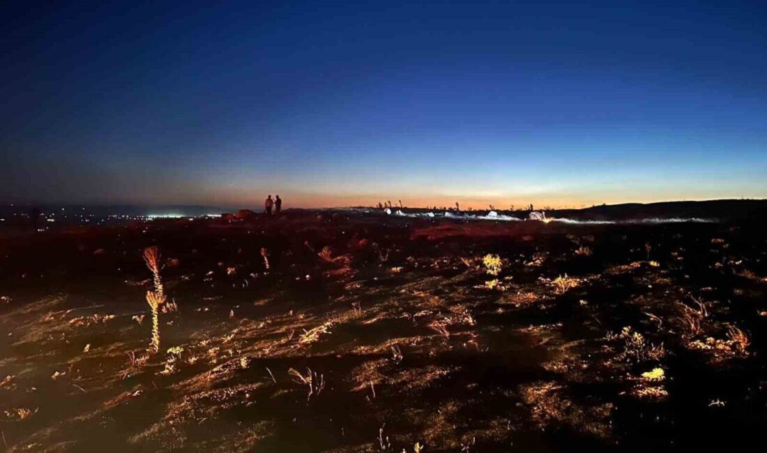 Eskişehir’in Tepebaşı ilçesinde tarım arazisinde çıkan yangın, köylülerin hızlı müdahalesi